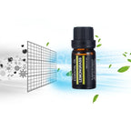 6Pcs/set 100% Pure Natural Aromatherapy Oils Kit 10ml For Humidifier Water-soluble Fragrance Oil Massage Essential Oil Set